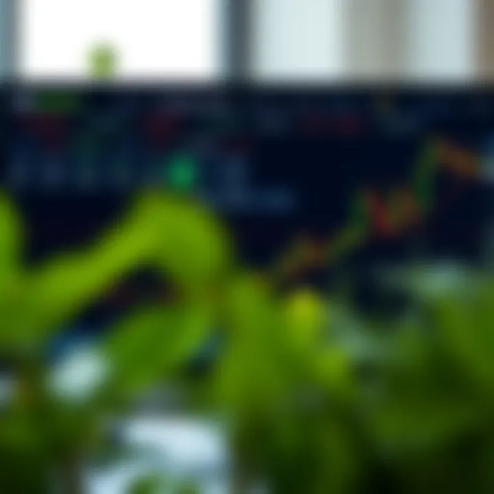 Graph showing various trading assets available on IQ Option platform